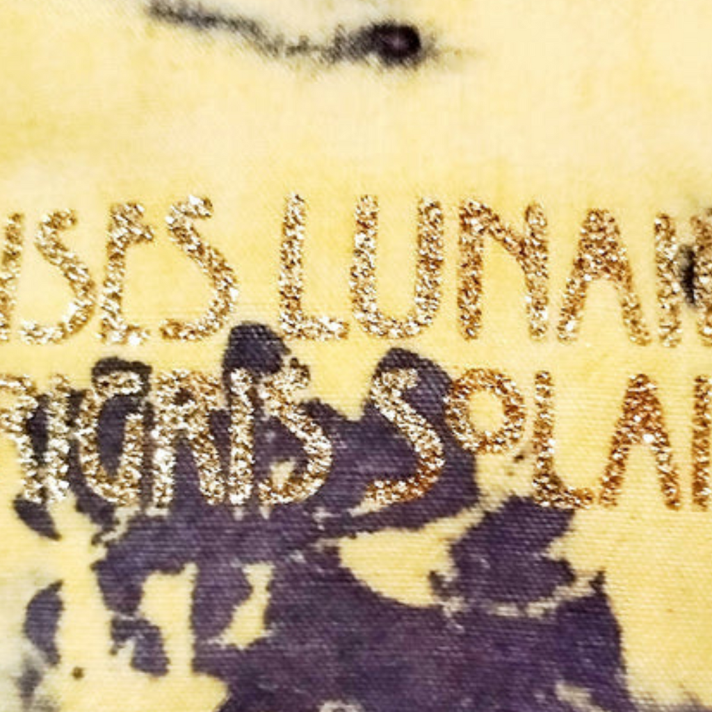 print pochette paillette