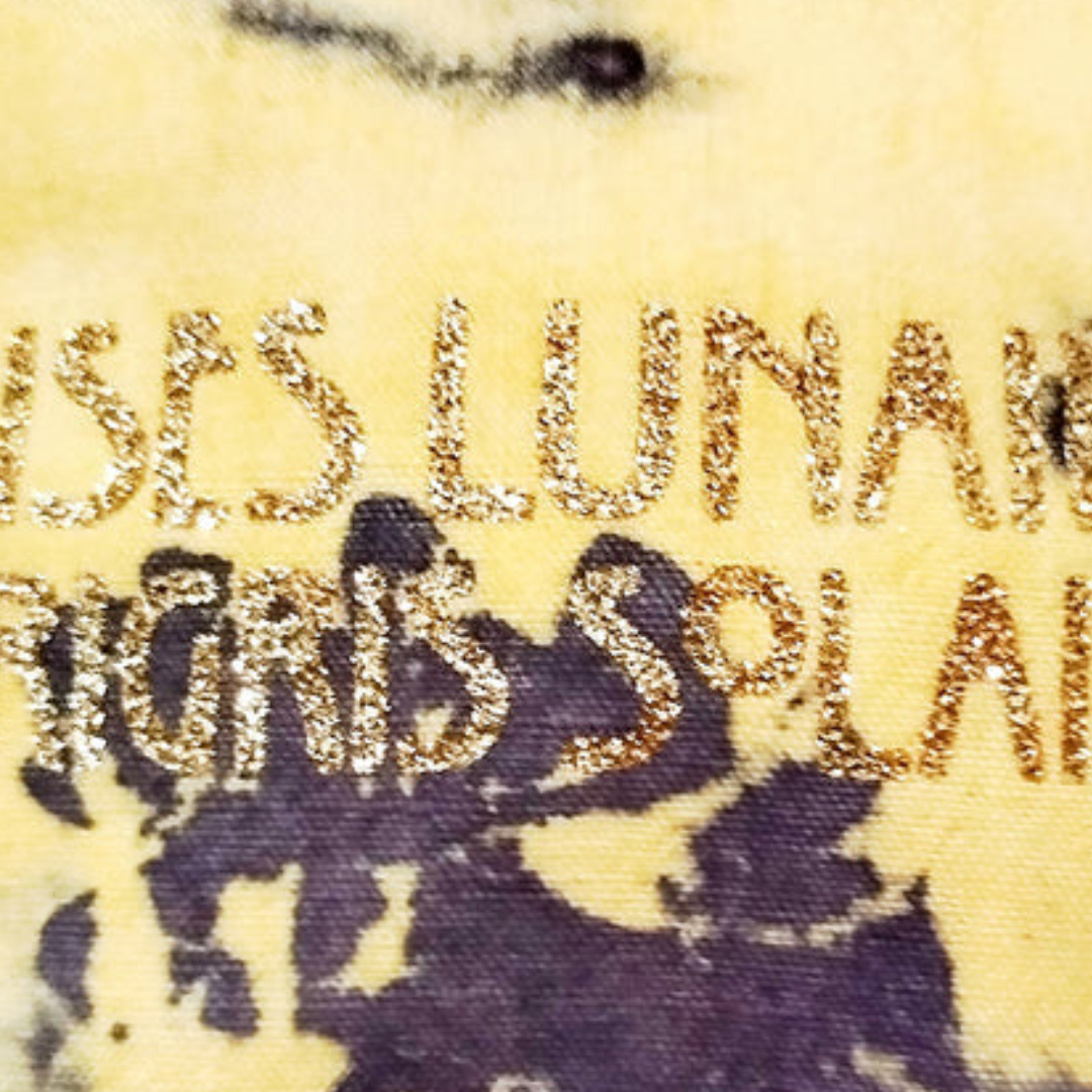 print pochette paillette